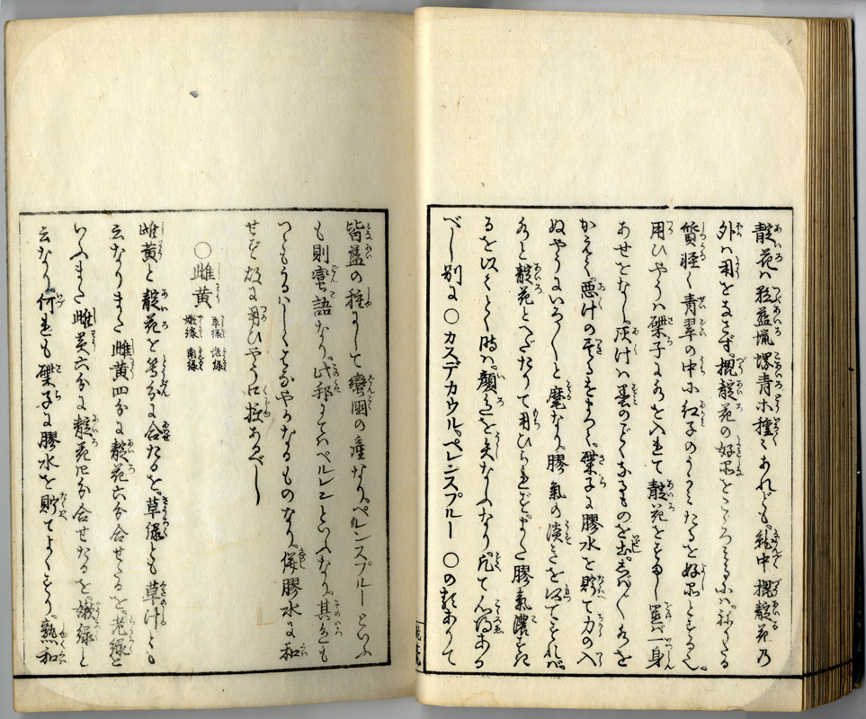 hitorikeiko01d030.jpg