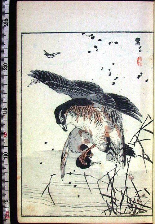 ♬ 中国美術☆ 葉酔白、版画/水墨画〔康〕 www.kynae.com.br