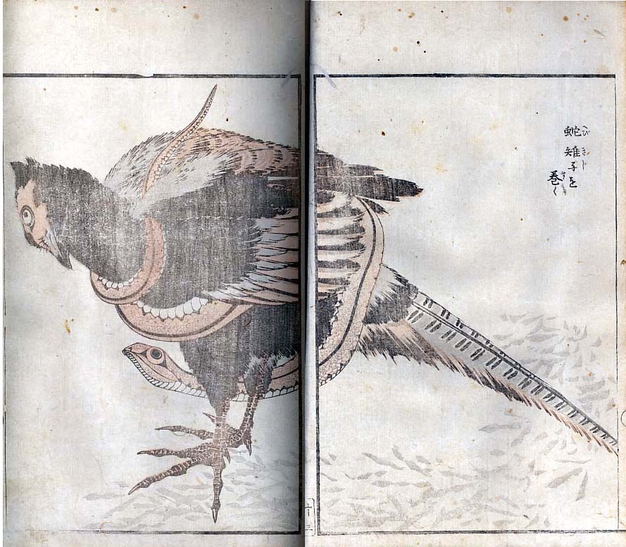 【模写】【伝来】M4751〈福田古道人〉双幅 書 共箱 漢詩人 南画家 俳人 子規門 絵手本DB