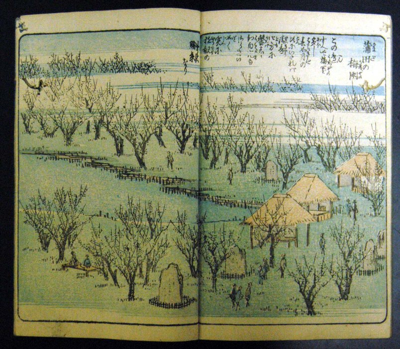 絵本江戸土産 東京海洋大学図書館