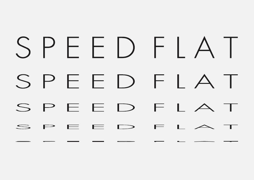 SPEED FLAT 2017