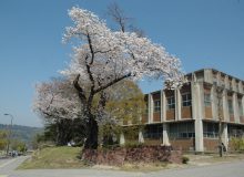 高等教育の修学支援新制度について
