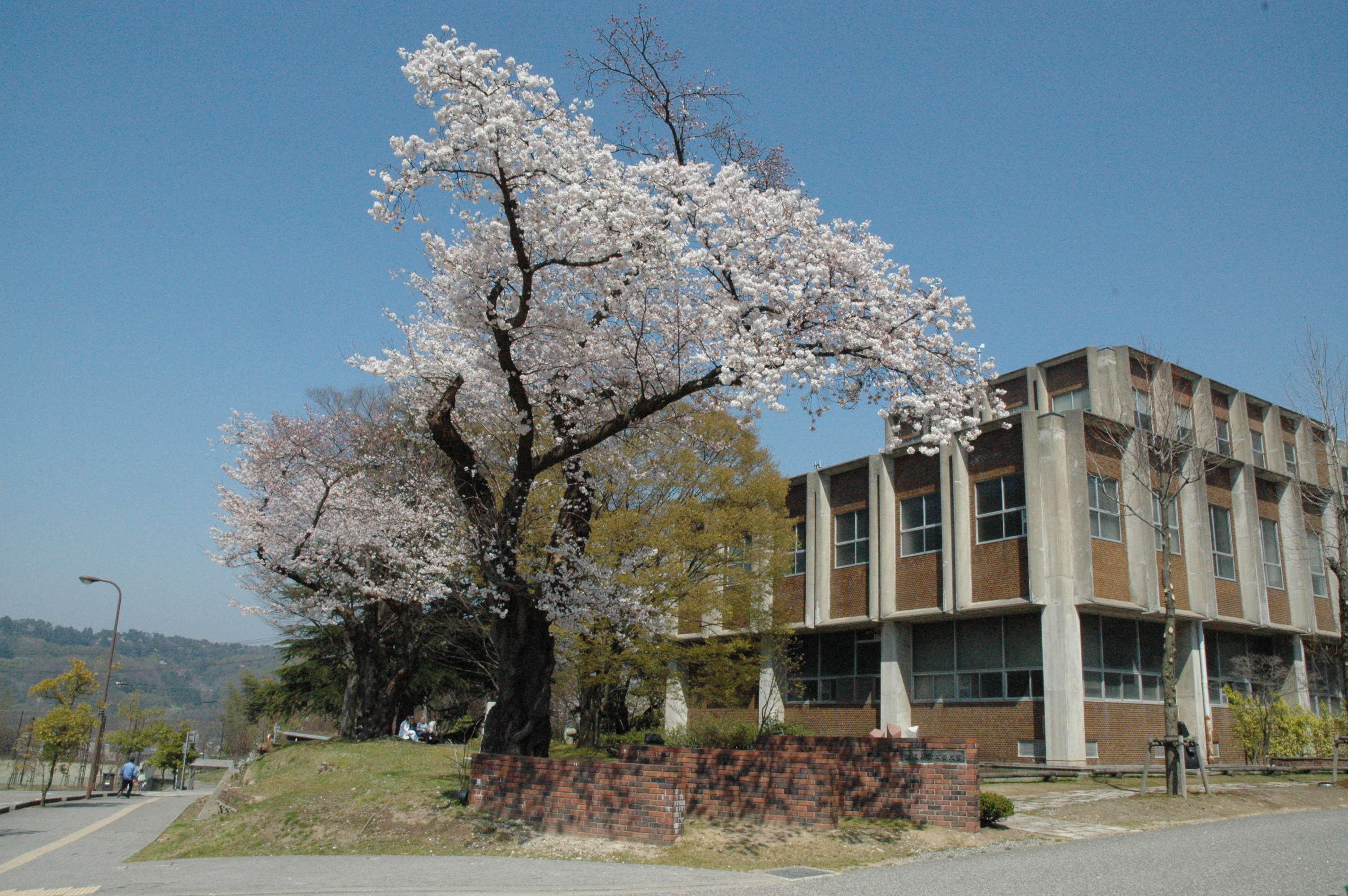 高等教育の修学支援新制度について