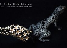 水代達史 Solo Exhibition