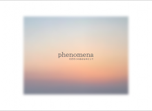 phenomena -ただそこにあるものとして-