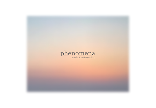 phenomena -ただそこにあるものとして-